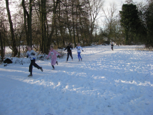 Kerstcross Kerstcross