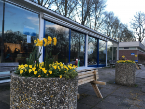Bloemen Bloemen
